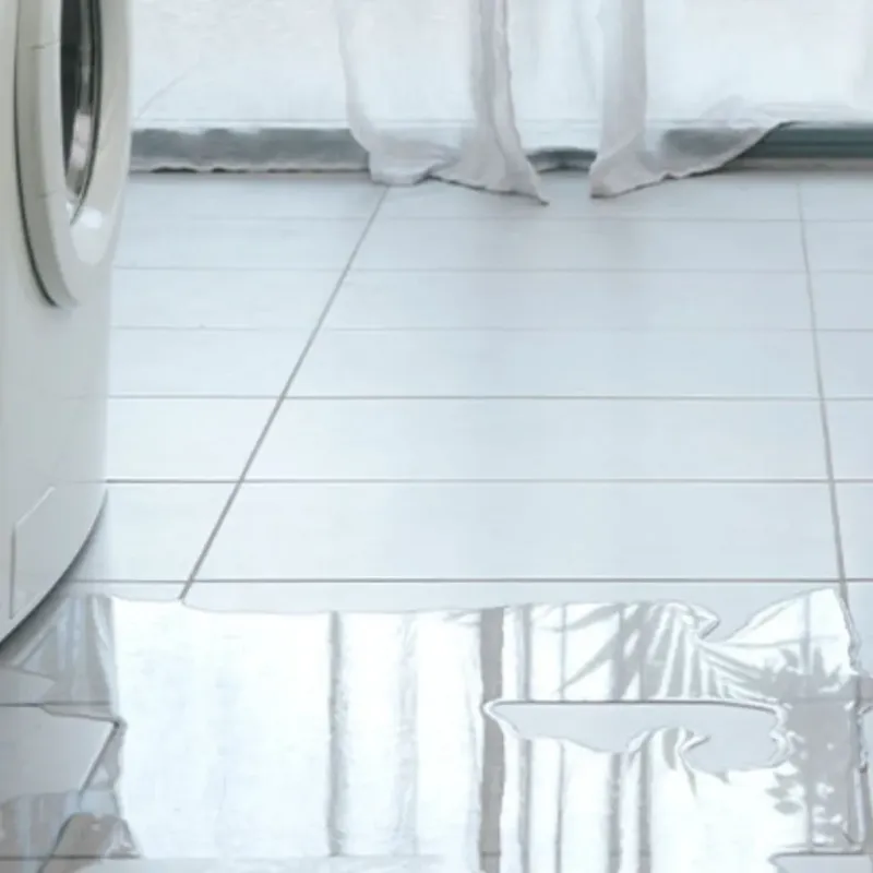 Appliance Leak Cleanup in Spur, TX
