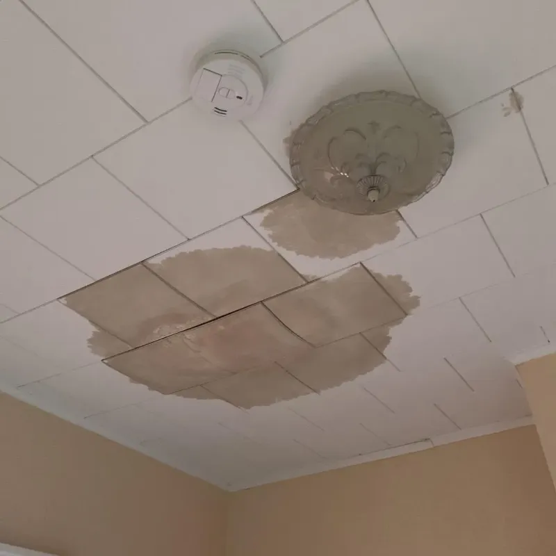 Ceiling Water Damage Repair in Spur, TX