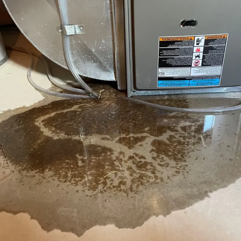Pipe Burst and Leak Restoration in Spur, TX