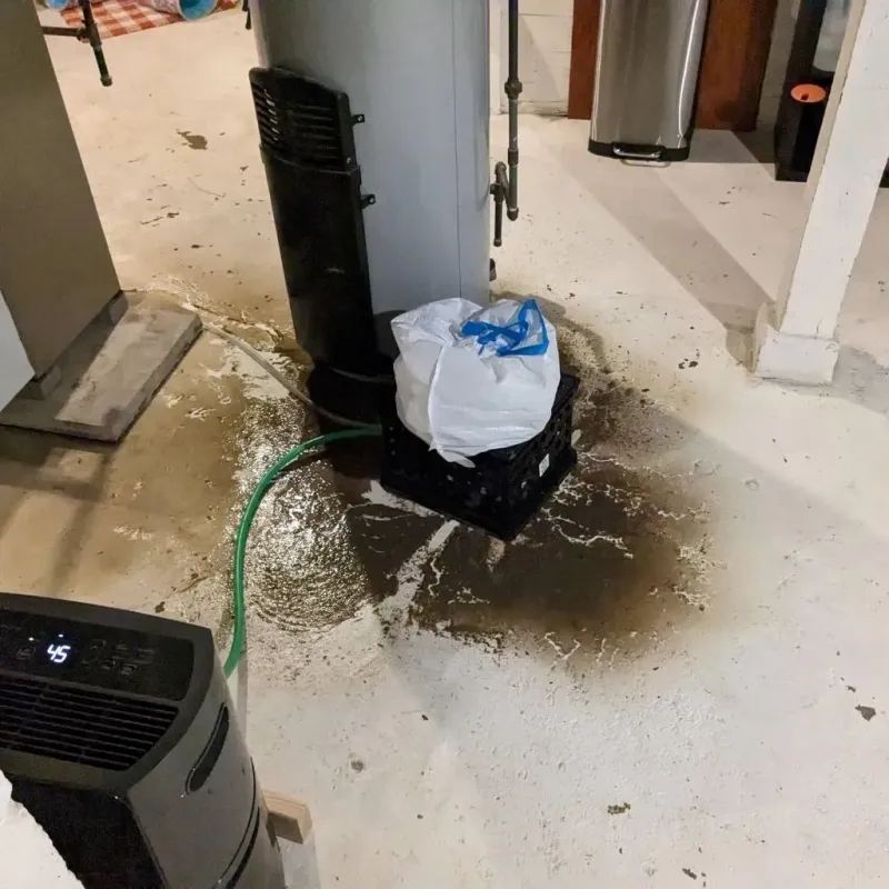 Sewage Backup Cleanup Service in Spur, TX
